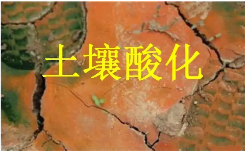 識(shí)別土壤“病”，土壤測(cè)試儀器是如何提高土壤免疫力的？