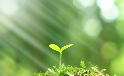 推廣測土配方施肥技術(shù)的有哪些好處？