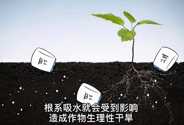 土壤EC值和pH值與作物生長的關(guān)系，利用土壤鹽分儀緩解土壤鹽漬化
