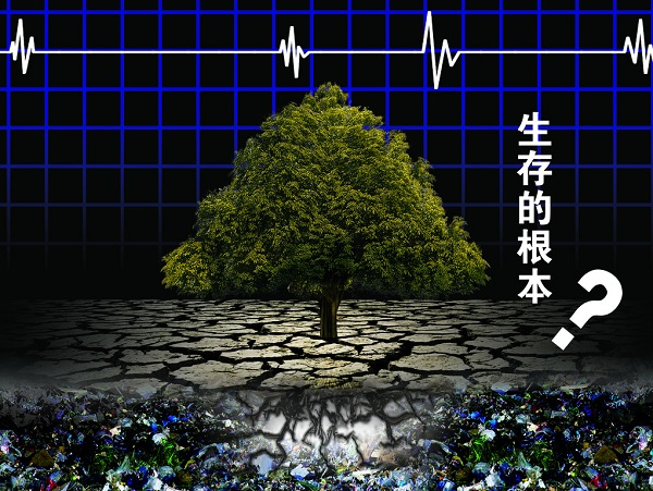 土壤重金屬嚴(yán)重超標(biāo)，土壤修復(fù)離不開土壤檢測(cè)儀